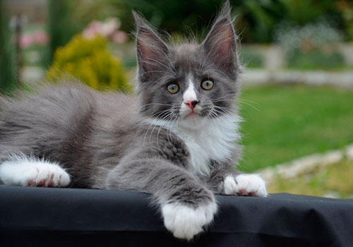 Мен Днепропетровскіде порно фильмге түсемін.